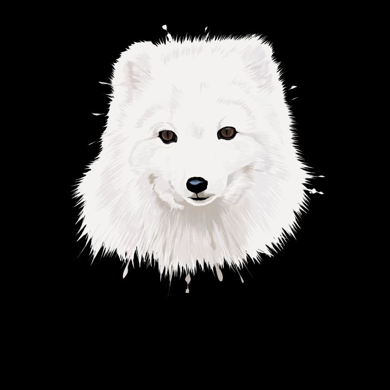 Polarfuchs
