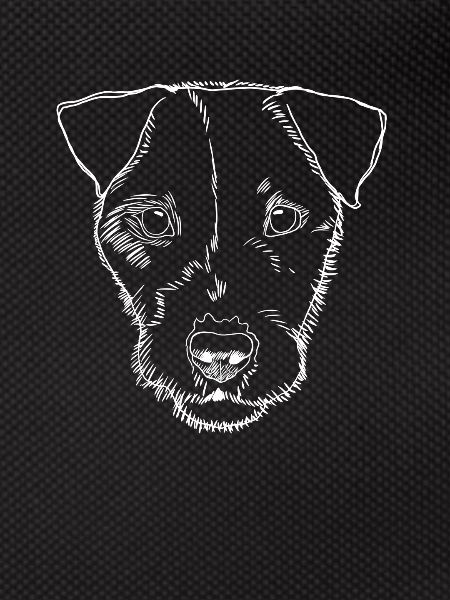 Parson Russel Terrier Dog