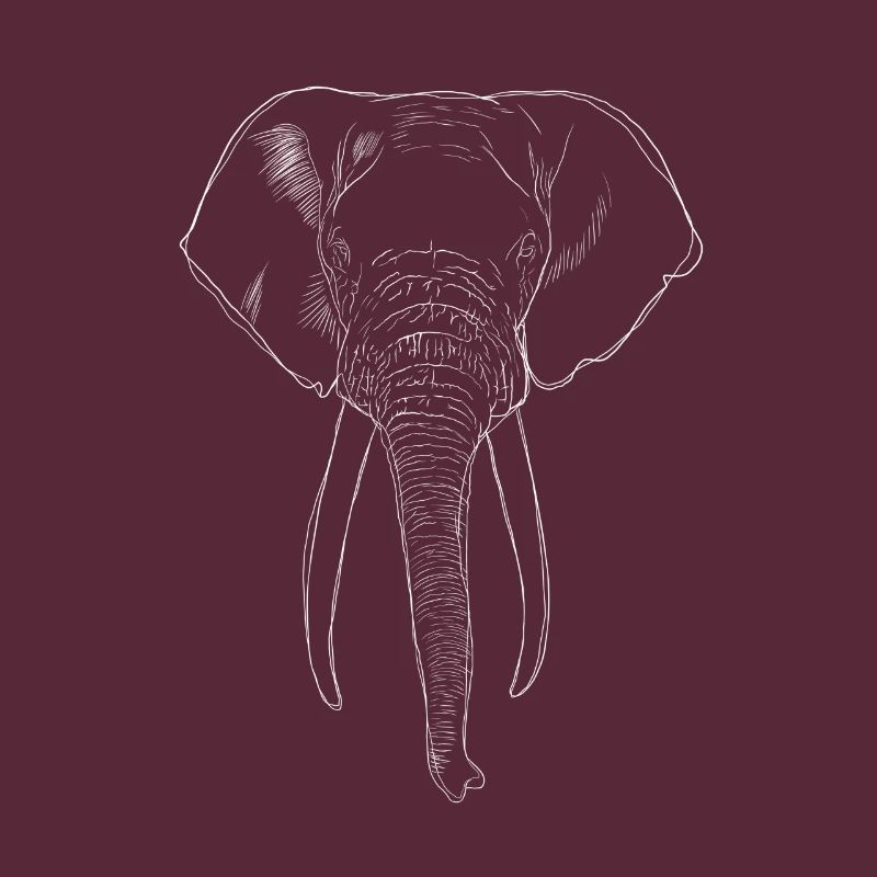 Éléphant