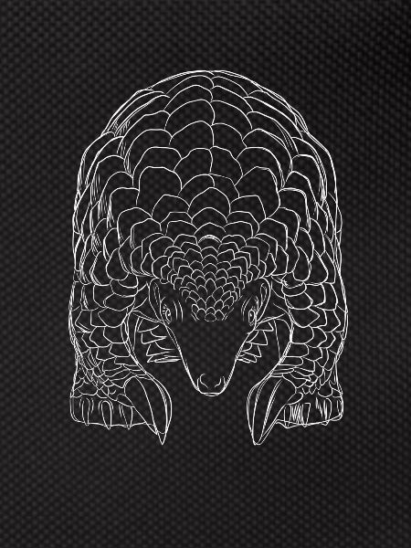Pangolin Strokes