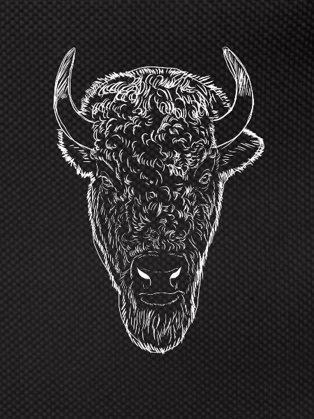 Bison