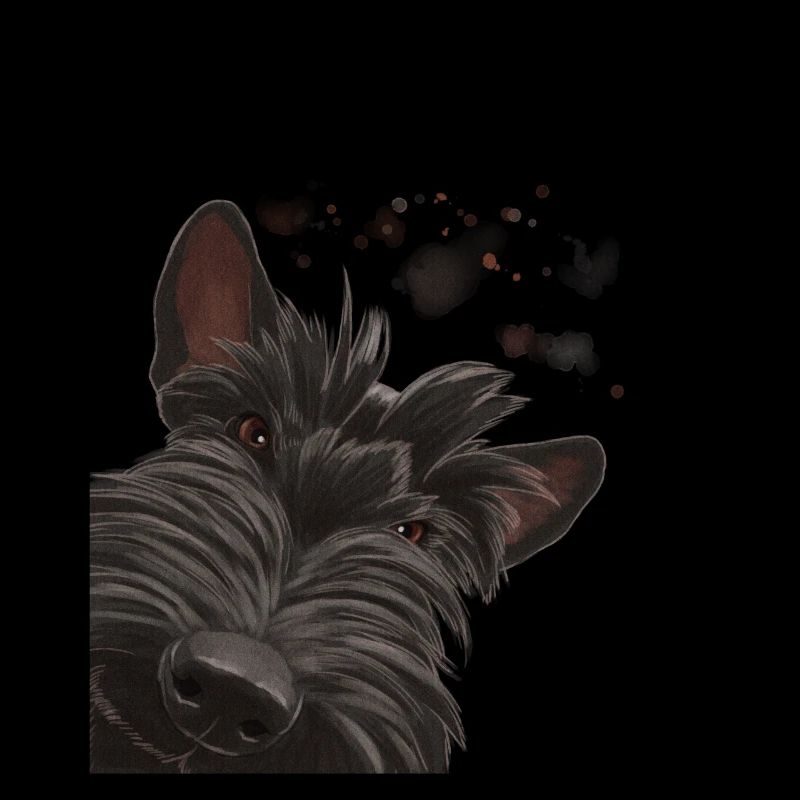 Curious Scottish Terrier Dog