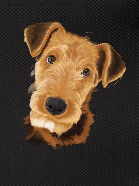 Airedale Terrier Dog