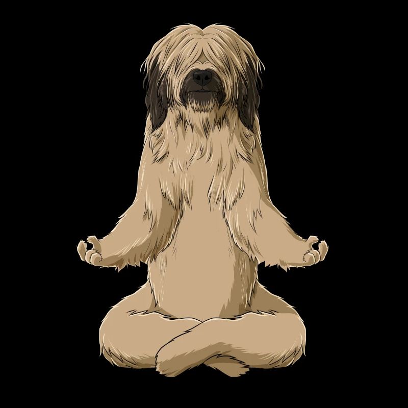 Chien Méditant Briard