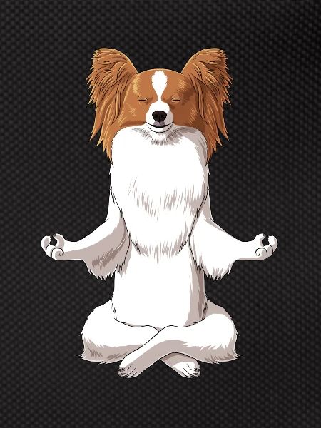 Meditating Papillon Dog