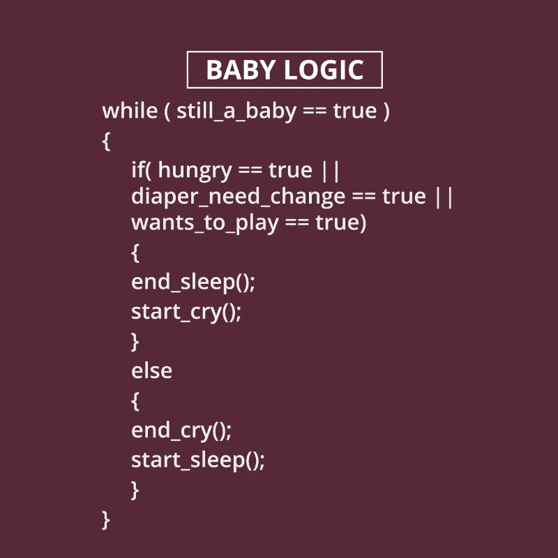 Programmeur informatique Codeurs Software Engineers Gift