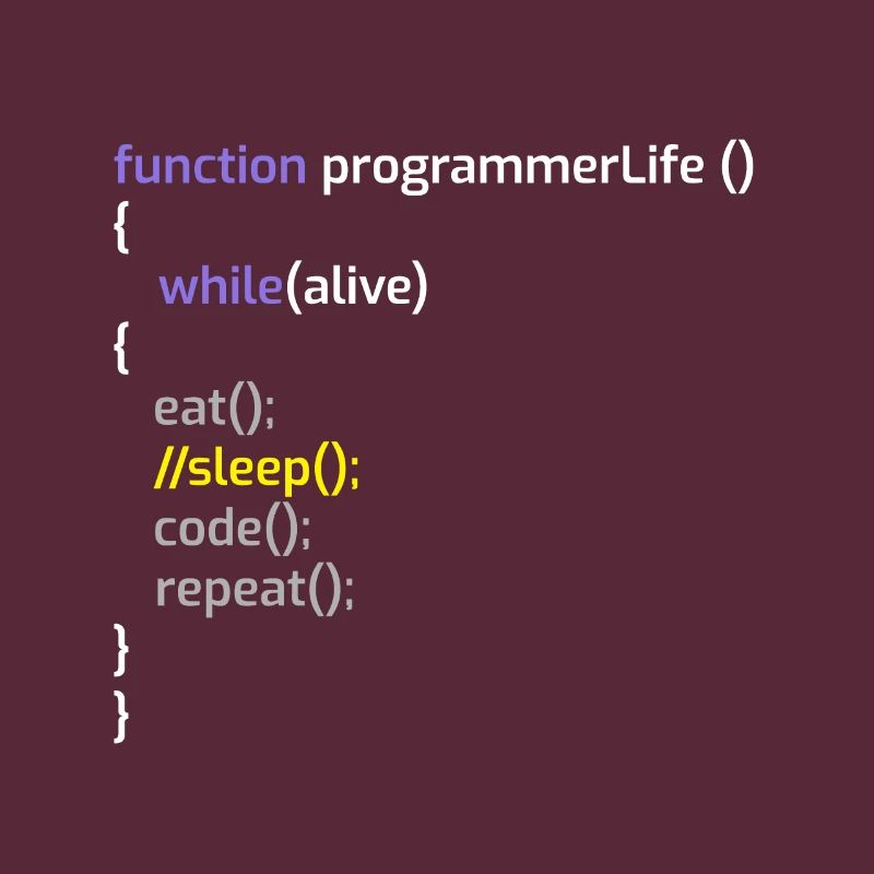 Programmeur informatique Codeurs Software Engineers Gift