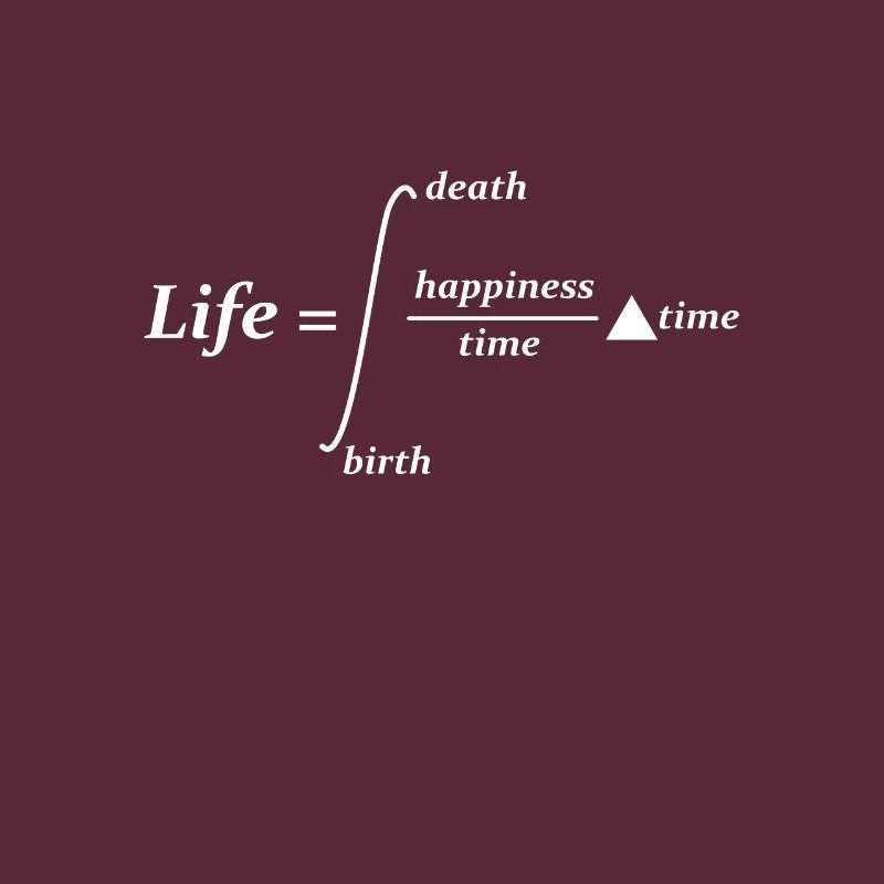 Science Math Physics Joke Pun Gift