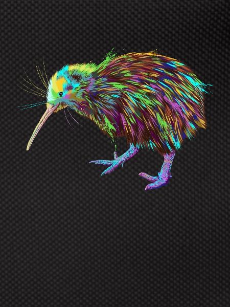 Spalsh Kiwi Bird