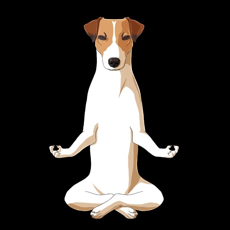 Meditierender Jack Russell Terrier Hund