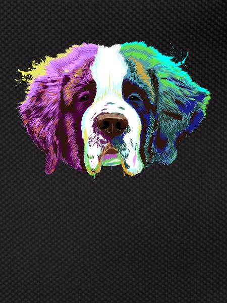 Splash Saint Bernard Dog