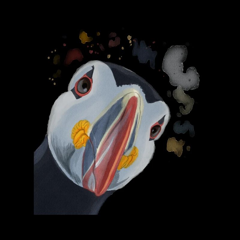 Curious Puffin