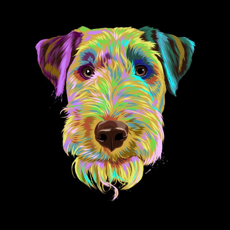 Splash Welsh Terrier Hund
