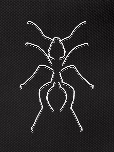 Fourmis lignes
