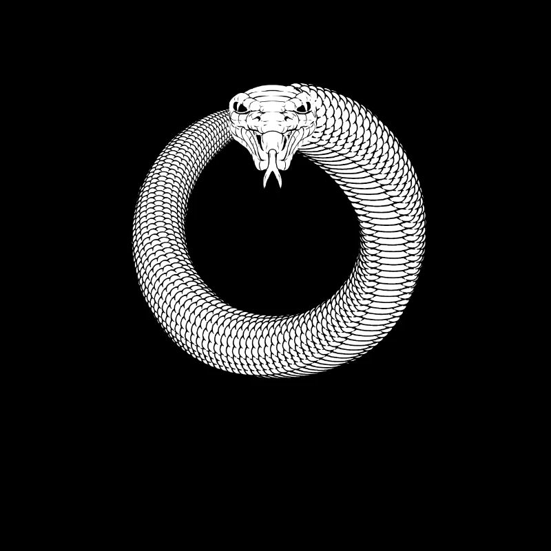 Ouroboros Snake