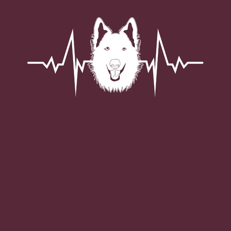 Shepherds ECG White Shepherd