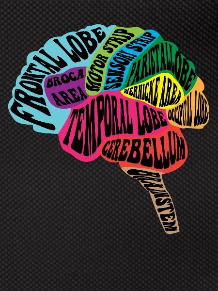 Neurologist Brain Map