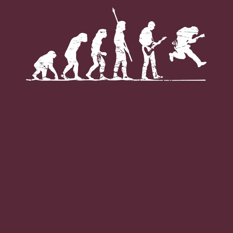 Guitariste Evolution, guitariste