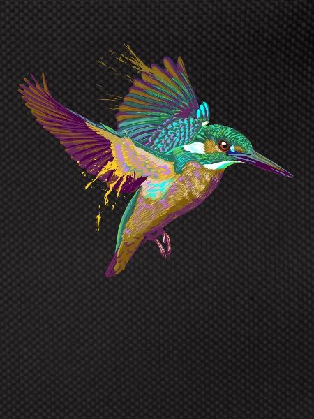 Splash Kingfisher Bird