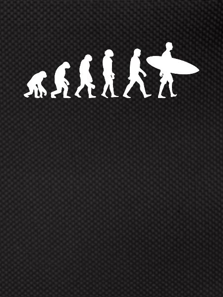 Évolution Du Surf