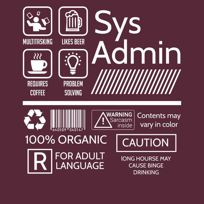 Administrateur système, Administrateur système