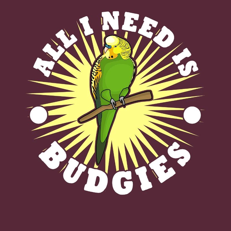Perruche Perruche Budgerigar