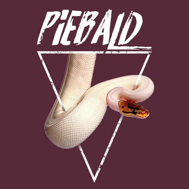 Piebald Ball Python Gardien de reptiles