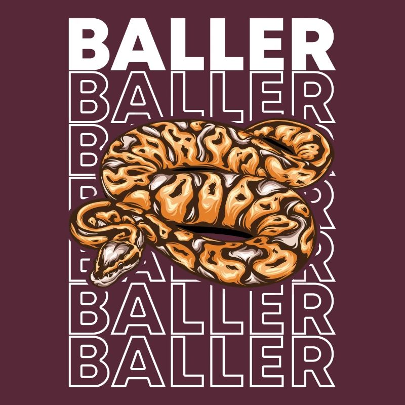 Ball Python 80's Style Baller Royal Python Snake