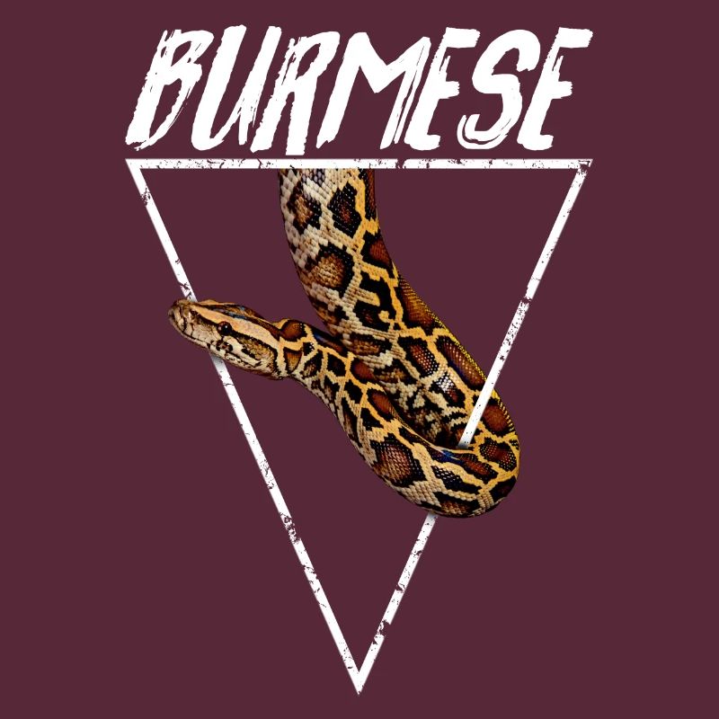 Burmesischer Python Besitzer Geometrisch