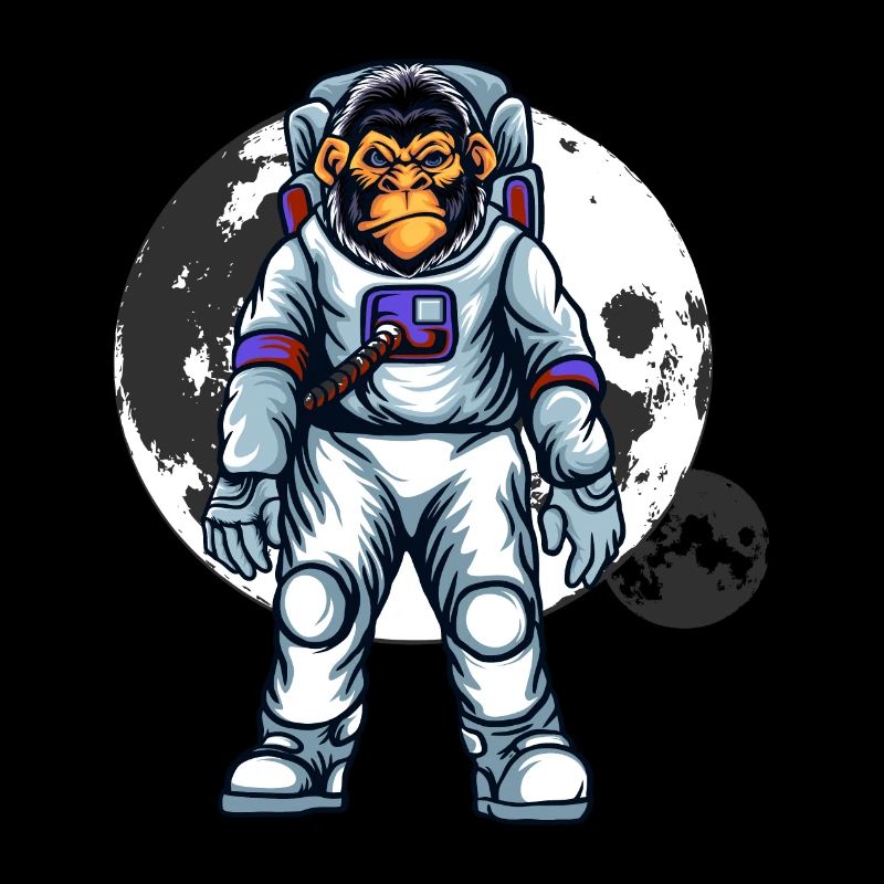 Star Monkey Outfit