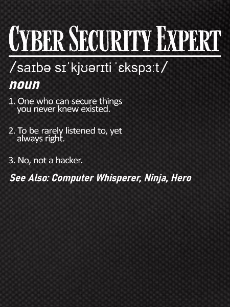 Cybersecurity Expert