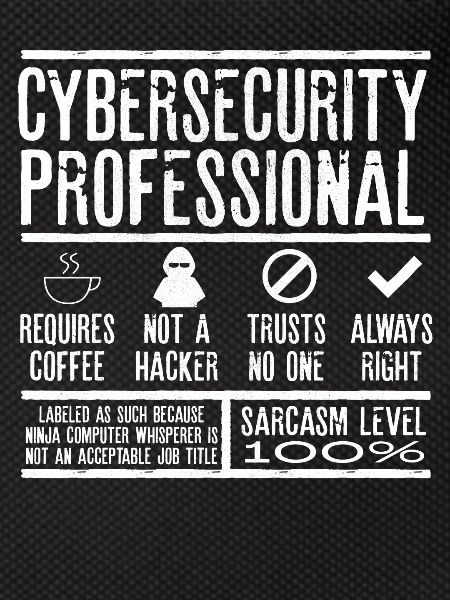 Cybersecurity Expert