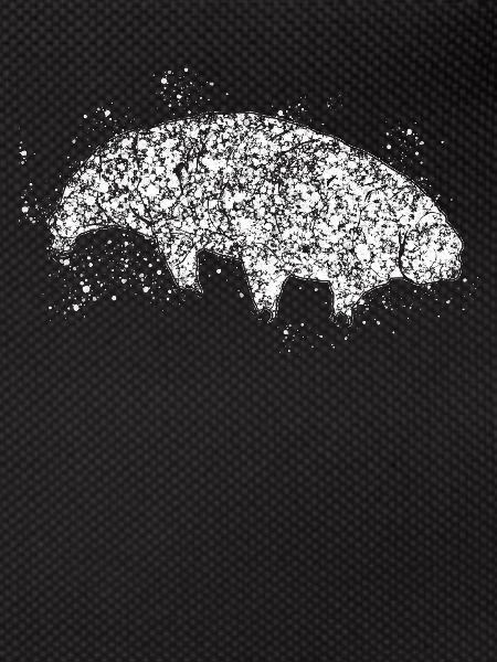 Water Bear Tardigrade Tardigrade