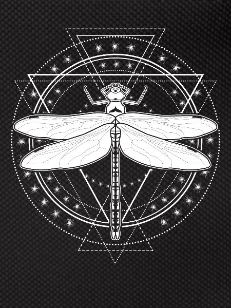 Libellule Occulte Libellules