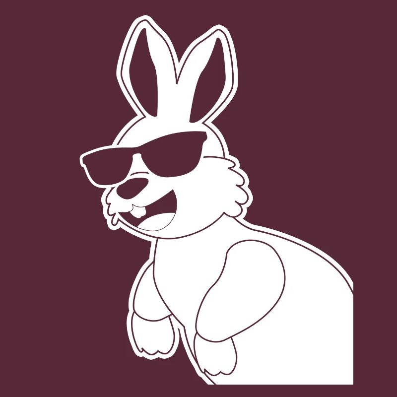 Rabbit with sunglasses Rabbit Rabbit