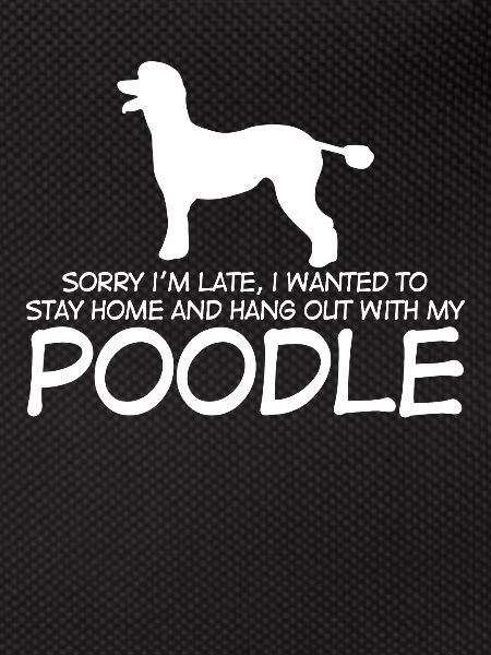 Poodle Joke