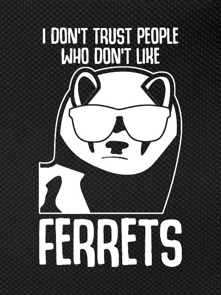 Frettchen mit Sonnenbrille
