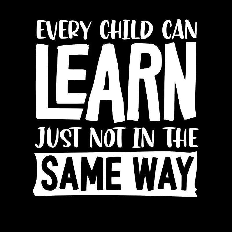 Special Needs Education, Special Education