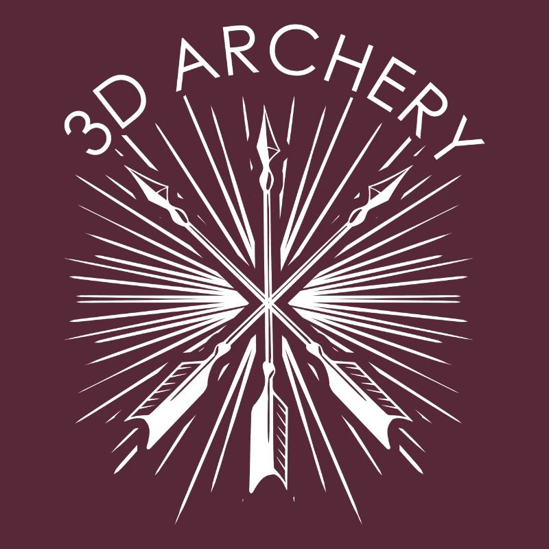 3D Archery Archery Archer