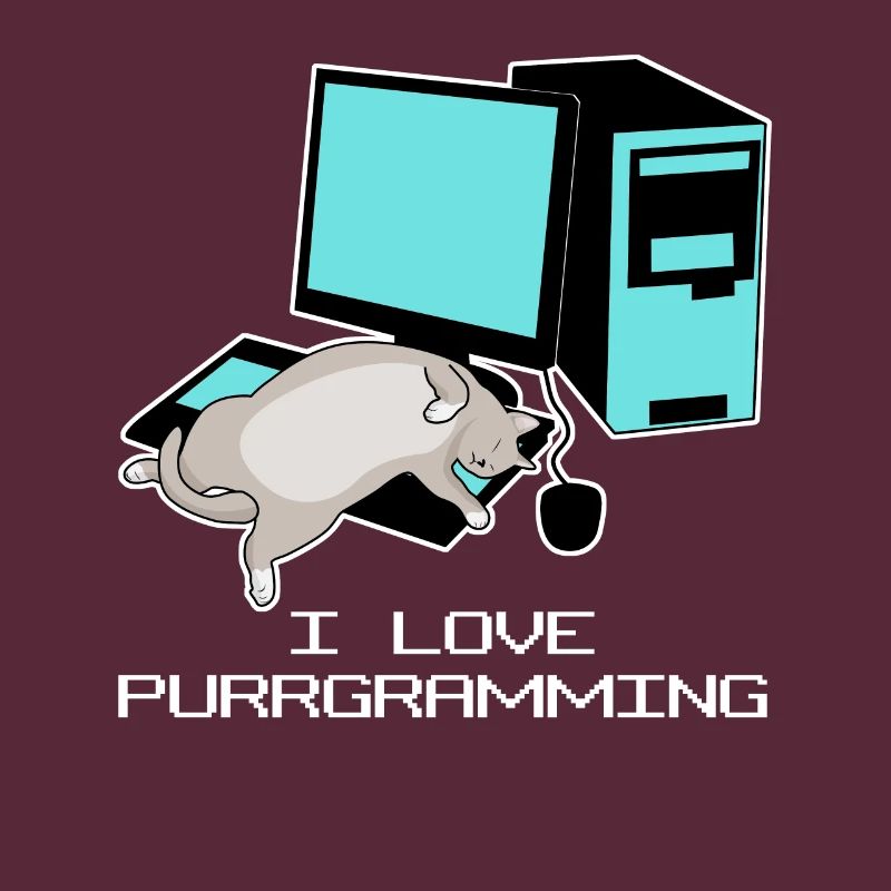 Programmeur Admin Computer Cat