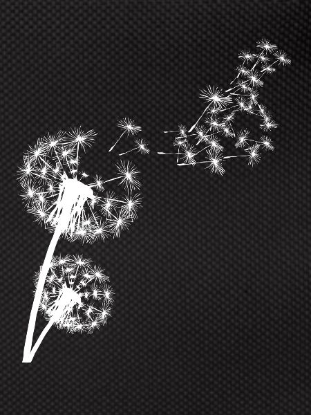 Looked in Dandelion
