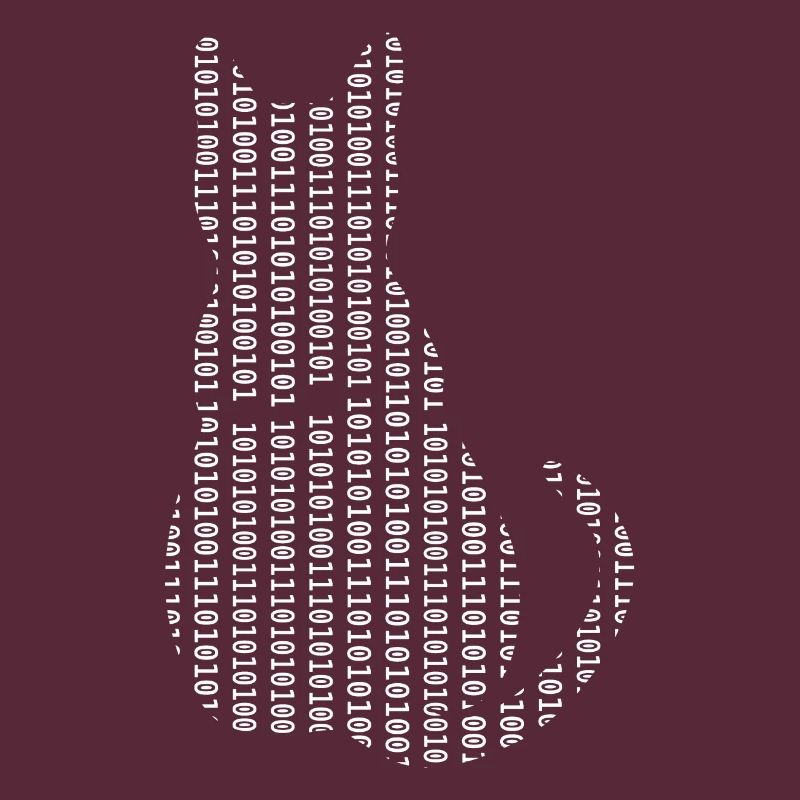 Informaticien Cat Admin Programmeur