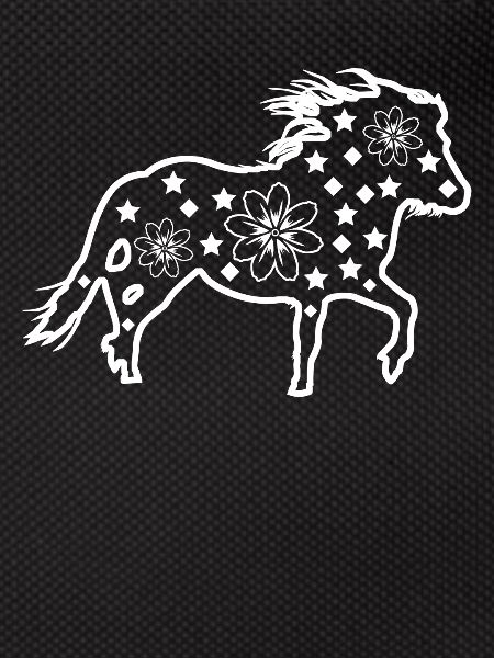 Shetland Pony Shetlandpony