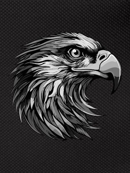 Eagle Portrait