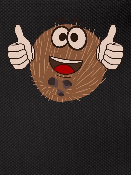 Coconut funny coconuts