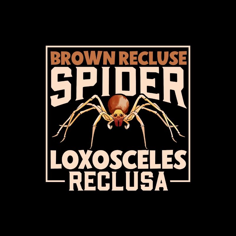 Araignée recluse brune