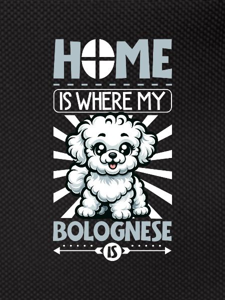 Home - Bolognese