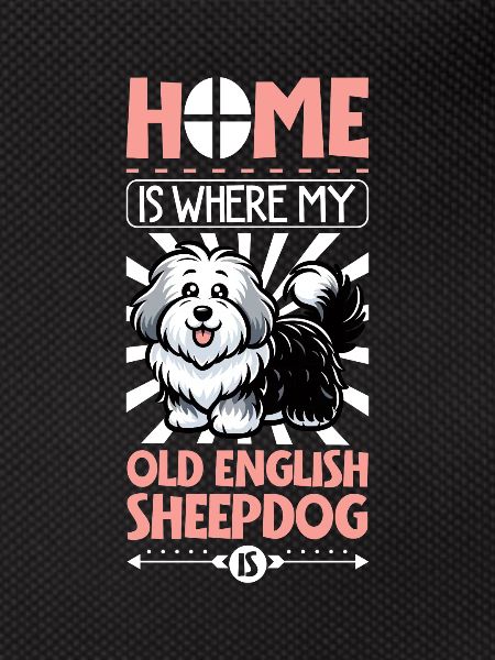 Home - Bobtail