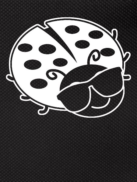 Ladybug Sunglasses Ladybugs