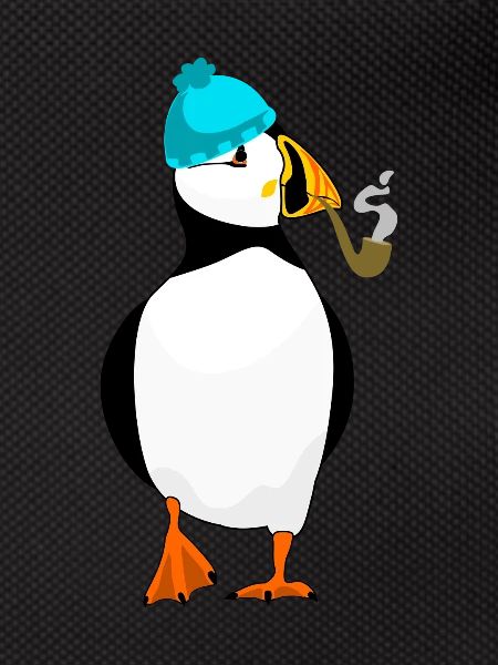 Puffin